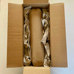 San Pedro cactus cutting packed bare-root in an open shipping box